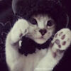 mimidoll_xx